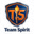 Team Spirit 战队小型标志